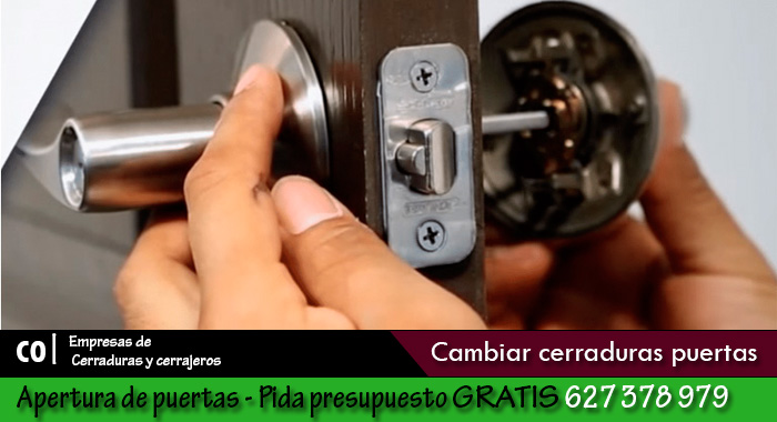 Cambiar cerraduras puertas en Alguazas